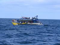 Albums/20060200-New Zealand 2006/20060318-Kaikiura/45